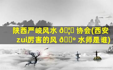 陕西严峻风水 🦅 协会(西安zui
厉害的风 🐺 水师是谁)